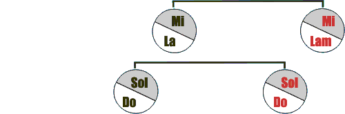 basses-polymodal01