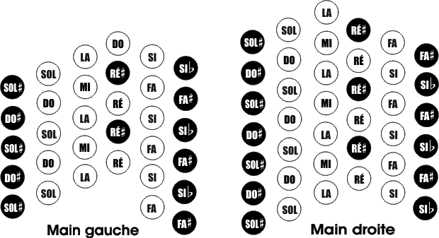 concertina-duet72